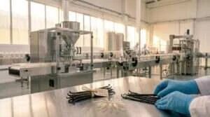 Ligne de production de compléments alimentaires, gousses de vanille Bourbon en cours d'inspection