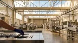 Hall de production agroalimentaire moderne, gousses de vanille Bourbon en cours d'inspection